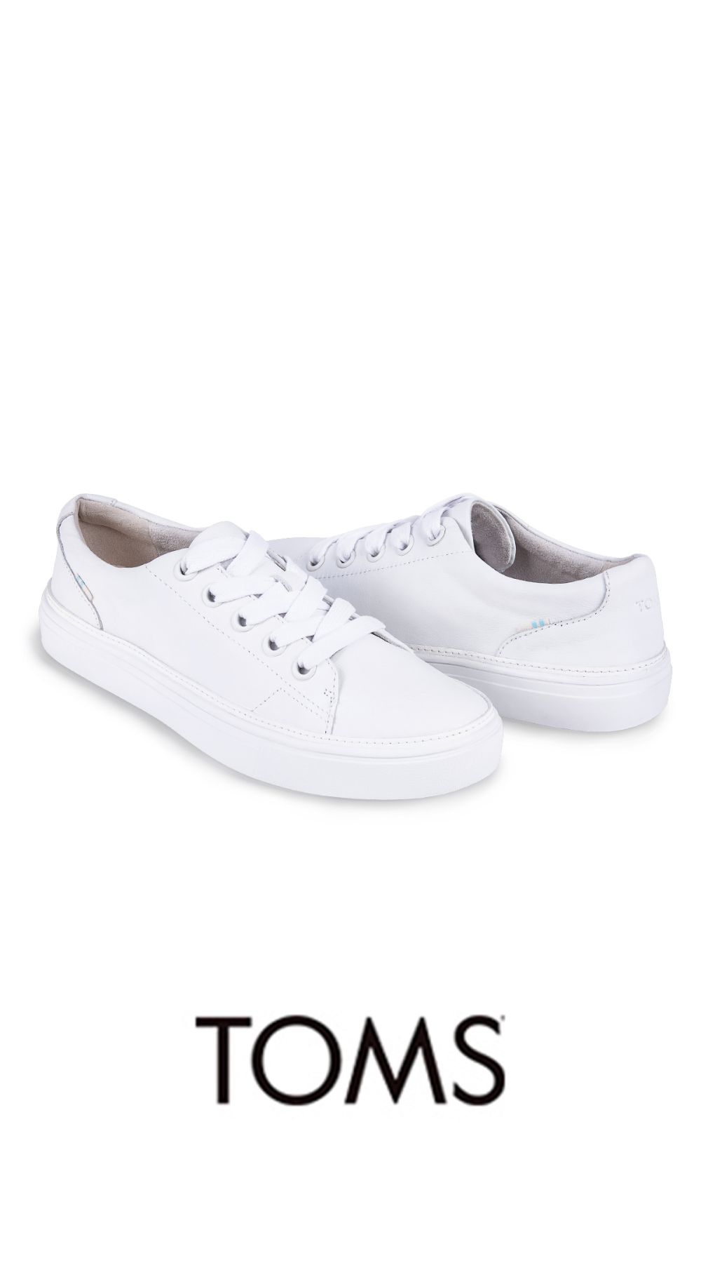 Baskets en cuir TOMS